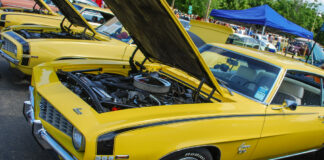001 Yellow SS Camaro Fender Stripe first generation camaros