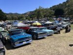 34 A large gathering of vintage trucks showcasing a wide range of models and colors
