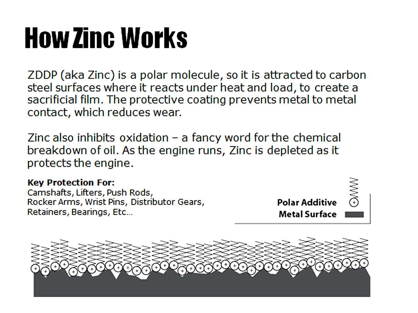 004 Explains ZDDP zinc as a polar molecule protecting engine parts reducing wear and preventing oxidation