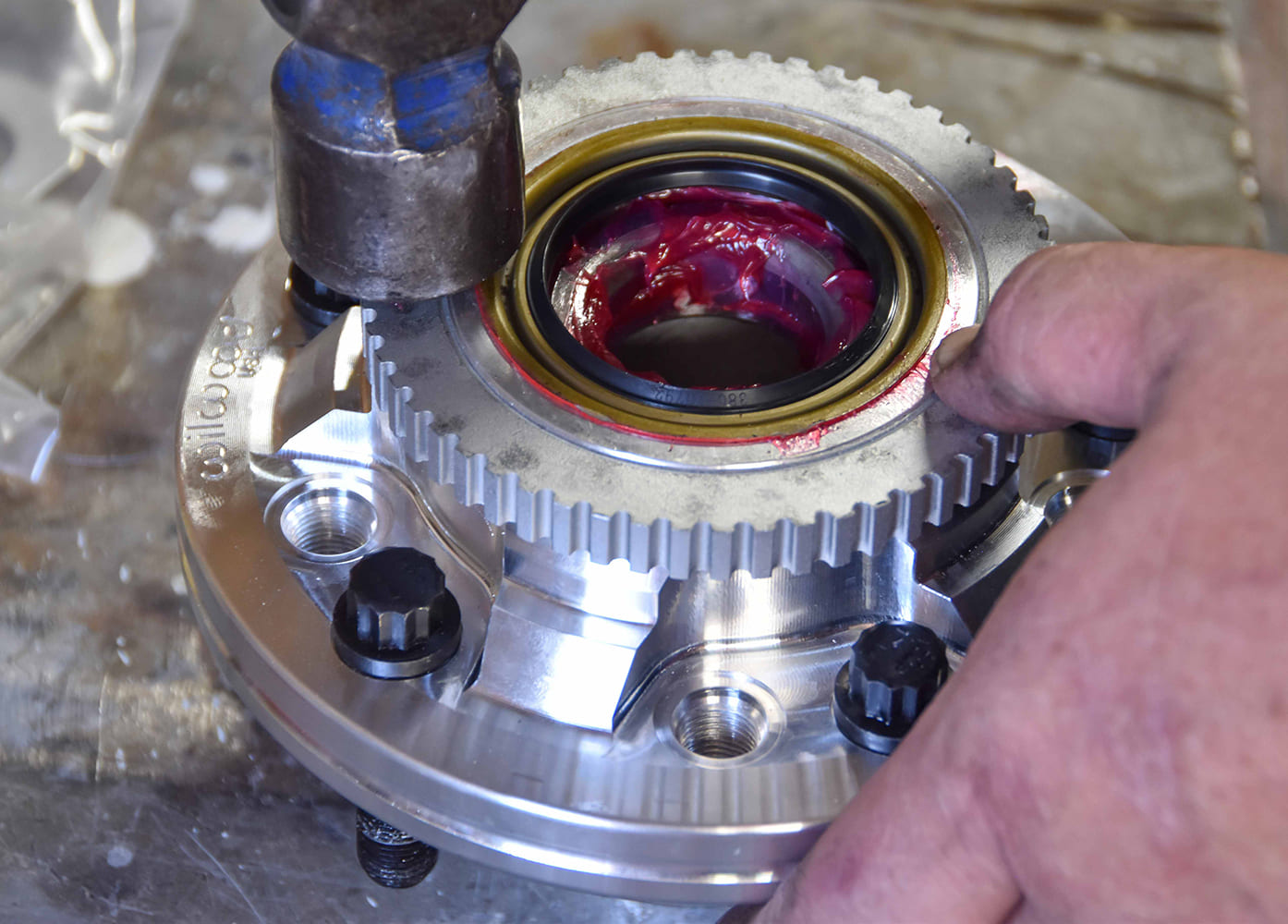 CTP FEB 2026 Wilwood OBS P1 11