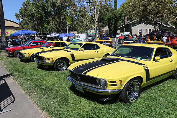 ront three-quarter view of a lineup of yellow 1970 Ford Mustang Boss 302 muscle cars parked on the grass at the Goodguys Pleasanton West Coast Nationals.