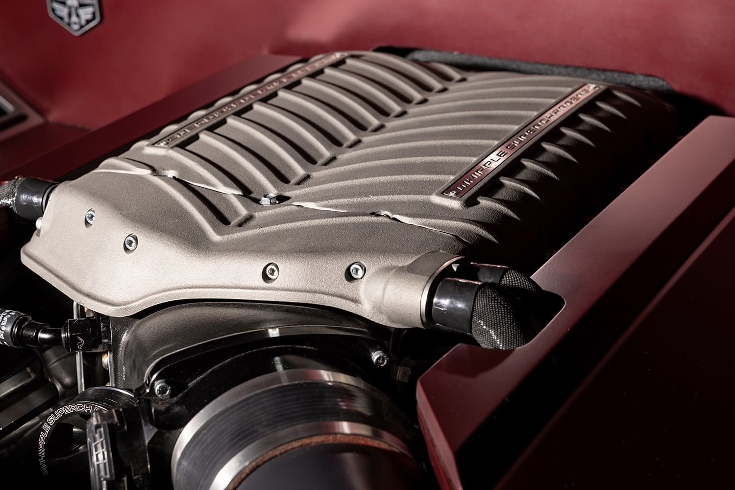 Close-up of the textured Whipple supercharger casing, cooling lines, and cold-air intake plenum seated inside the custom engine shroud.